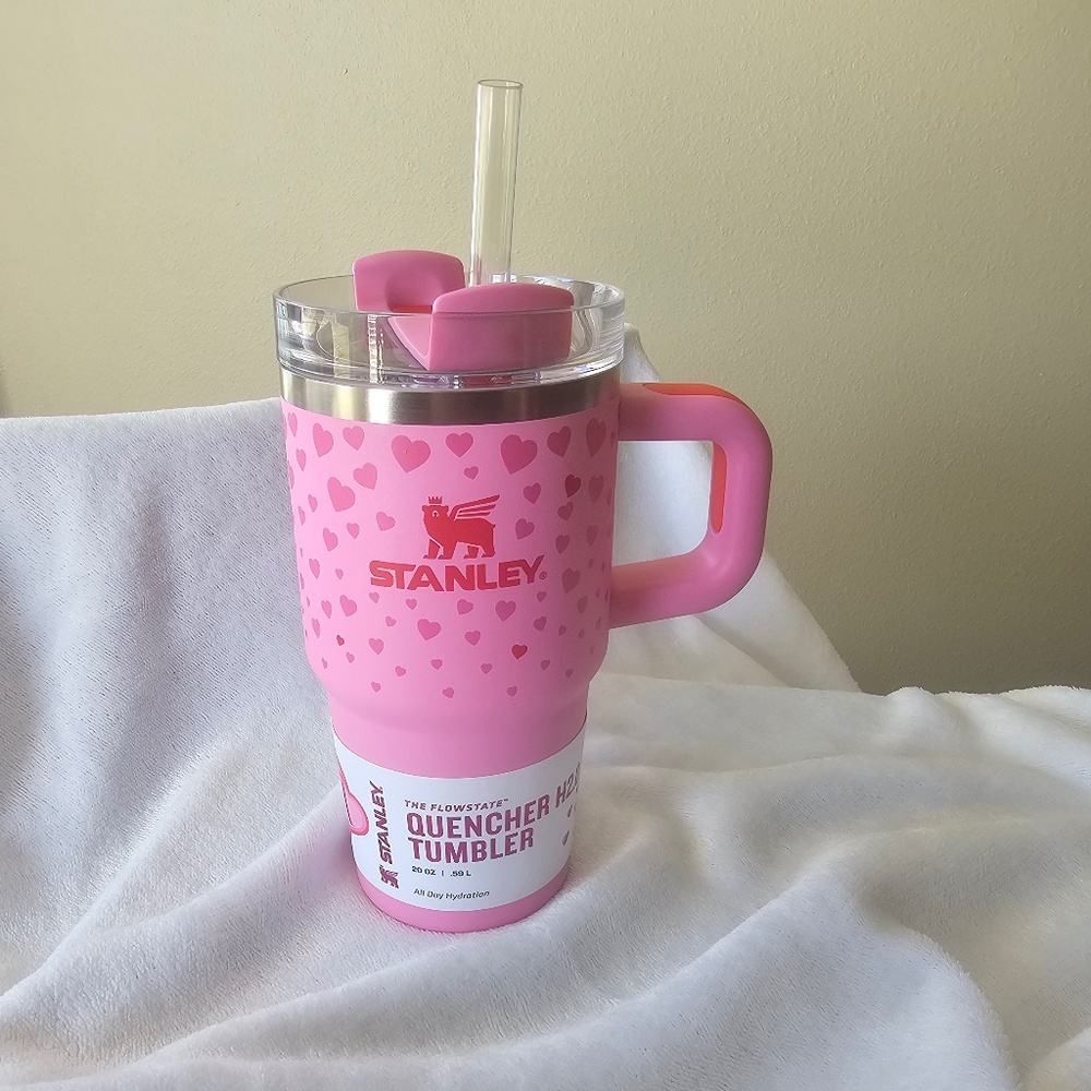 Stanley Valentines Day Heart 20 oz Exclusive Target Sweet Hearts Tumbler IN HAND